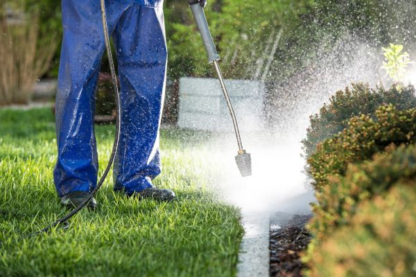Cost of Curb Cleaning in Manteca
