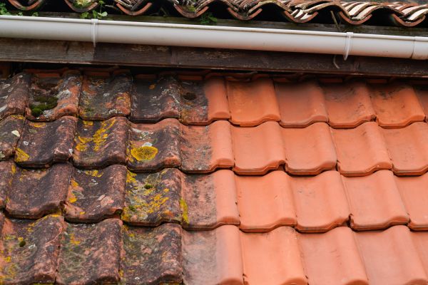 Industrial Roof Cleaning in Manteca